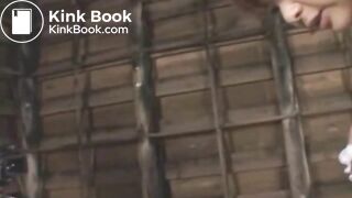 The brown side of life 830