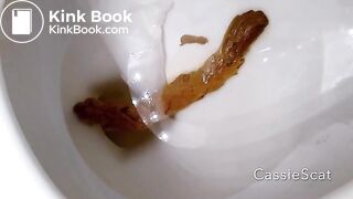 super long log - CassieScatStorecom