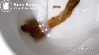 super long log - CassieScatStorecom