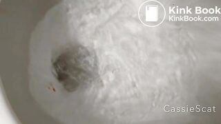 super long log - CassieScatStorecom