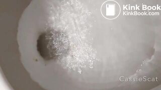 super long log - CassieScatStorecom