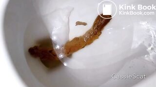 super long log - CassieScatStorecom