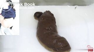 Webcam in Japanese toilet More pooping Japaneses` fannies from different views