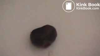 Die Kaviar Praktikantin 1