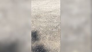 Public toilet scat!