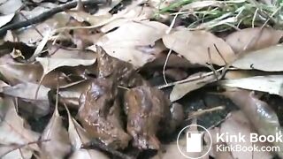 Jade Filth F15-14 2-14