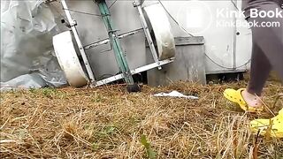 Shitting in public place