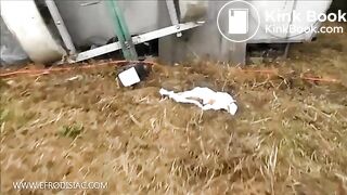 Shitting in public place