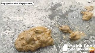 Shitting In the City