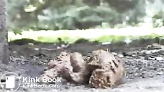 Sexy teen shits from a park bench