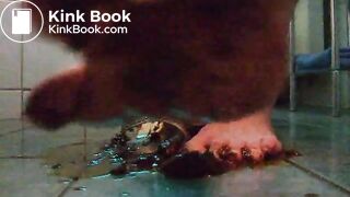 Scat_in_gold_Sandals