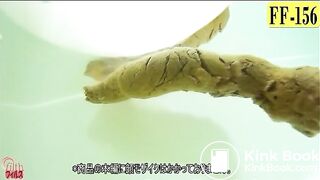 The brown side of life 160