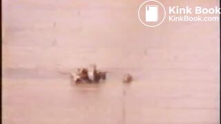 Uncensored Japanese Scat Girls