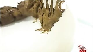 Eating pooping and and examine BFFD-02