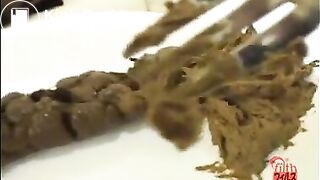 Eating pooping and and examine BFFD-02