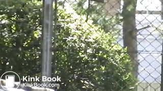 Shitting In public park