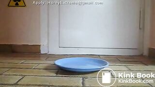 Teen Shits On A Plate