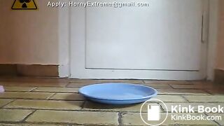 Teen Shits On A Plate