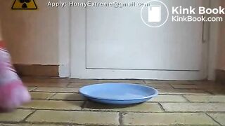 Teen Shits On A Plate