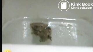 women pooping - EVO Jade Closeup 2 mp4 - Scat For All