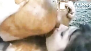 1311163mothermp4