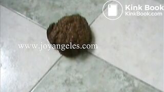 brigitteapril2wmv