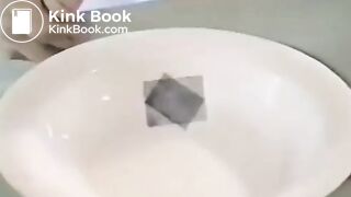 She Makes Shitty Dinners