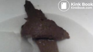 Toilet Cam Poop