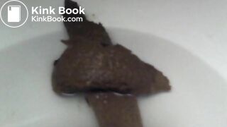 Toilet Cam Poop