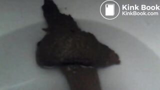 Toilet Cam Poop