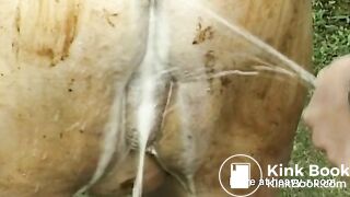 Outdoors BBW Scat Bottle Fuck