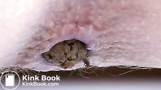 Dianas Scheiße im Zoom