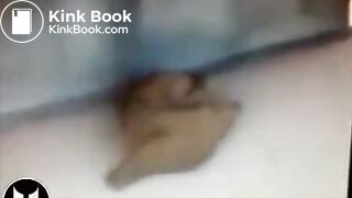 Stealth Ninja Shitter