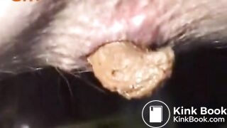 Blonde Amateur Fetish Slut Pee & Shit - OUR LOVE SHACK