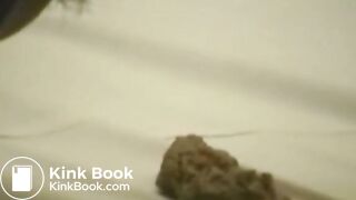 Asia extreme scat slave