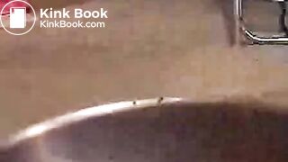 Joanne Paradigm Scat