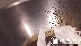 Joanne Paradigm Scat