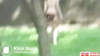 Japanese Girls hidden pee