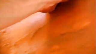 Smeary Scat Sex