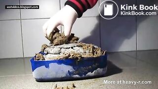 Fresh Poop For The Collection