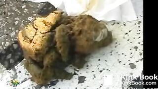 Shitting in a parking