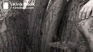 Experimentalshv - 1_3