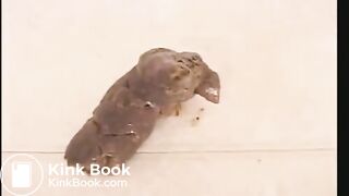 Beautiful girl taking big shit