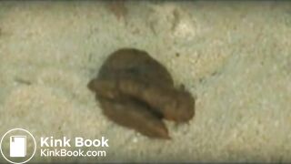 3 girls pooping on ibiza beach