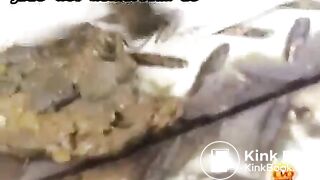 Office Women Accidently Pissing And Shitting In Their Pantsflv