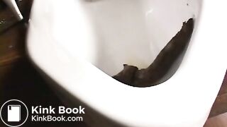 Shitting in Toilet3