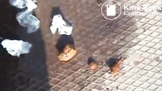 hübsches girl kackt so sweet