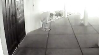 VS Women shitting in public - caught on surveillance cam