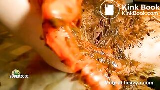 Scat Fisting Pussy Play