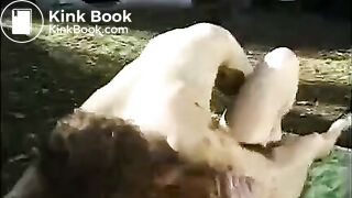 Girl shits from balcony on teenage couple